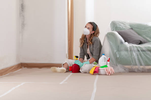 Reliable Mold Remediation contractor in Martinsville, VA by 24 Hour Mold Removal